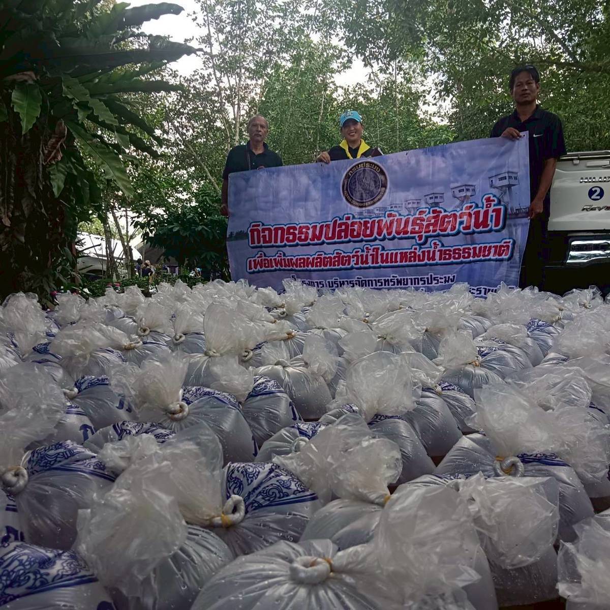 ปล่อยพันธุ์สัตว์น้ำและปลูกป่าชายเลน เพื่อถวายเป็นพระราชกุศลแด่ สมเด็จพระนางเจ้าสิริกิติ์ พระบรมราชินีนาถ พระบรมราชชนนีพันปีหลวงในห้วงระยะเวลา 100 วันแห่งการสวรรคต..คลิก