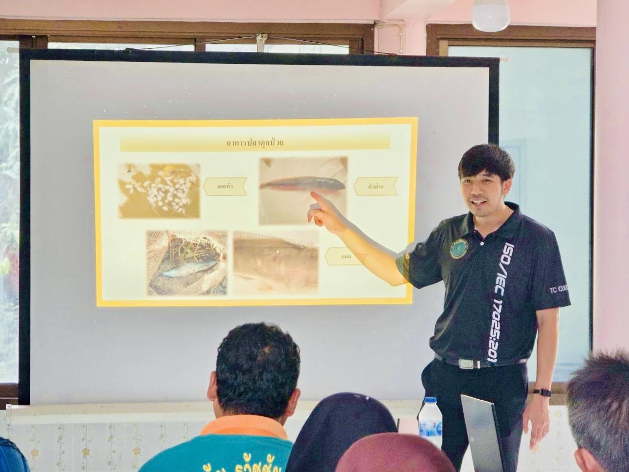 รูป ประกอบบทความ6