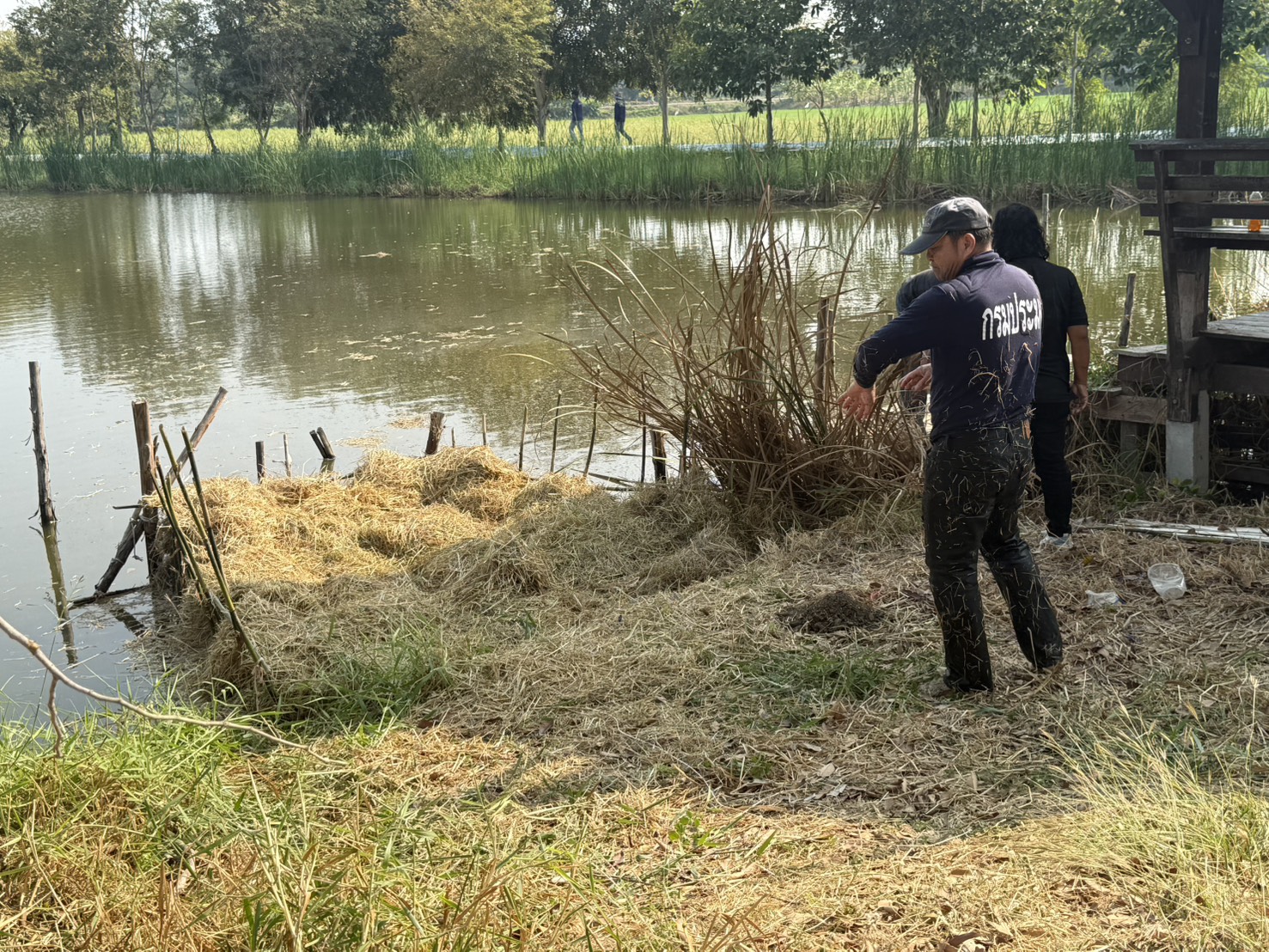 รูป ประกอบบทความ11