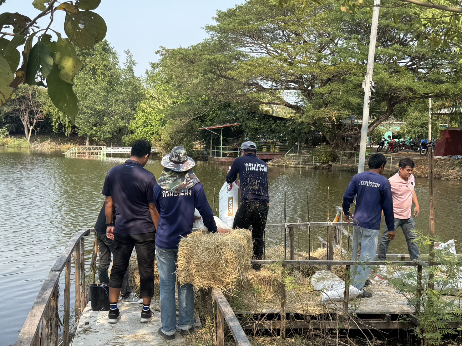 รูป ประกอบบทความ15