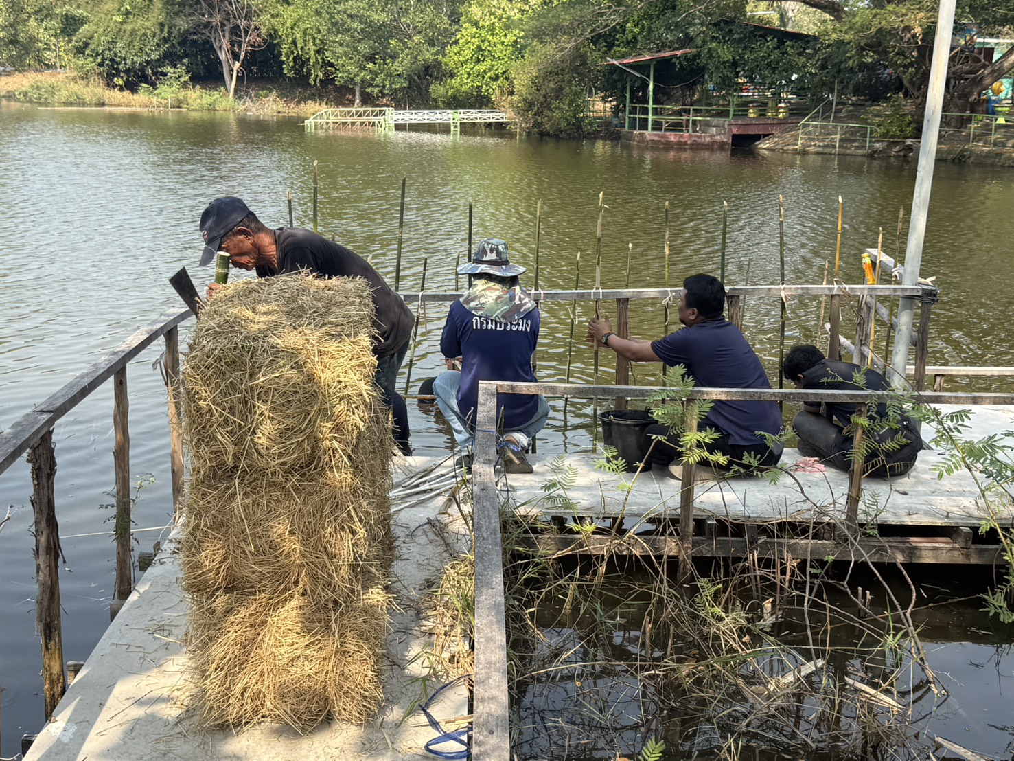 รูป ประกอบบทความ9