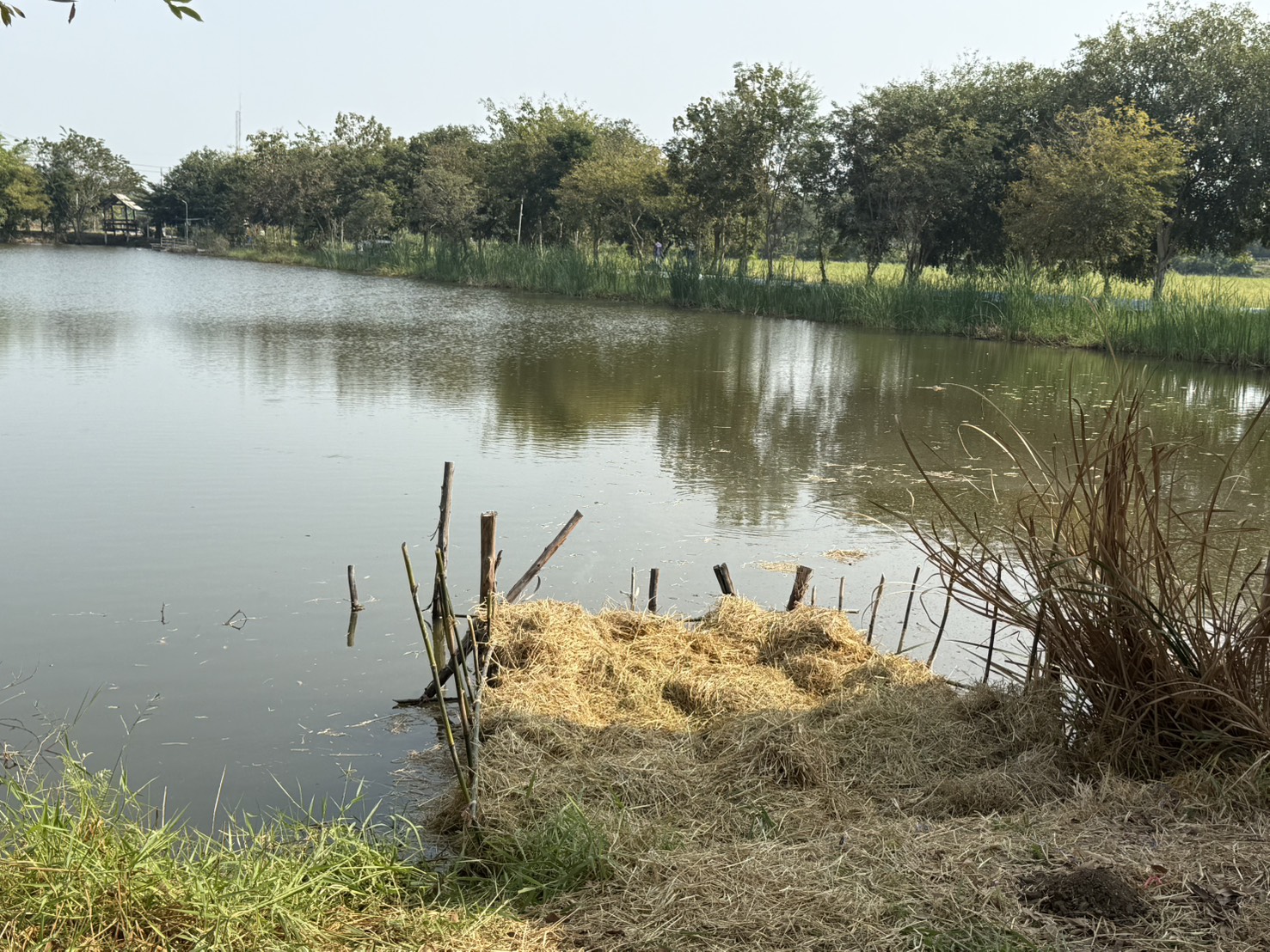 รูป ประกอบบทความ7