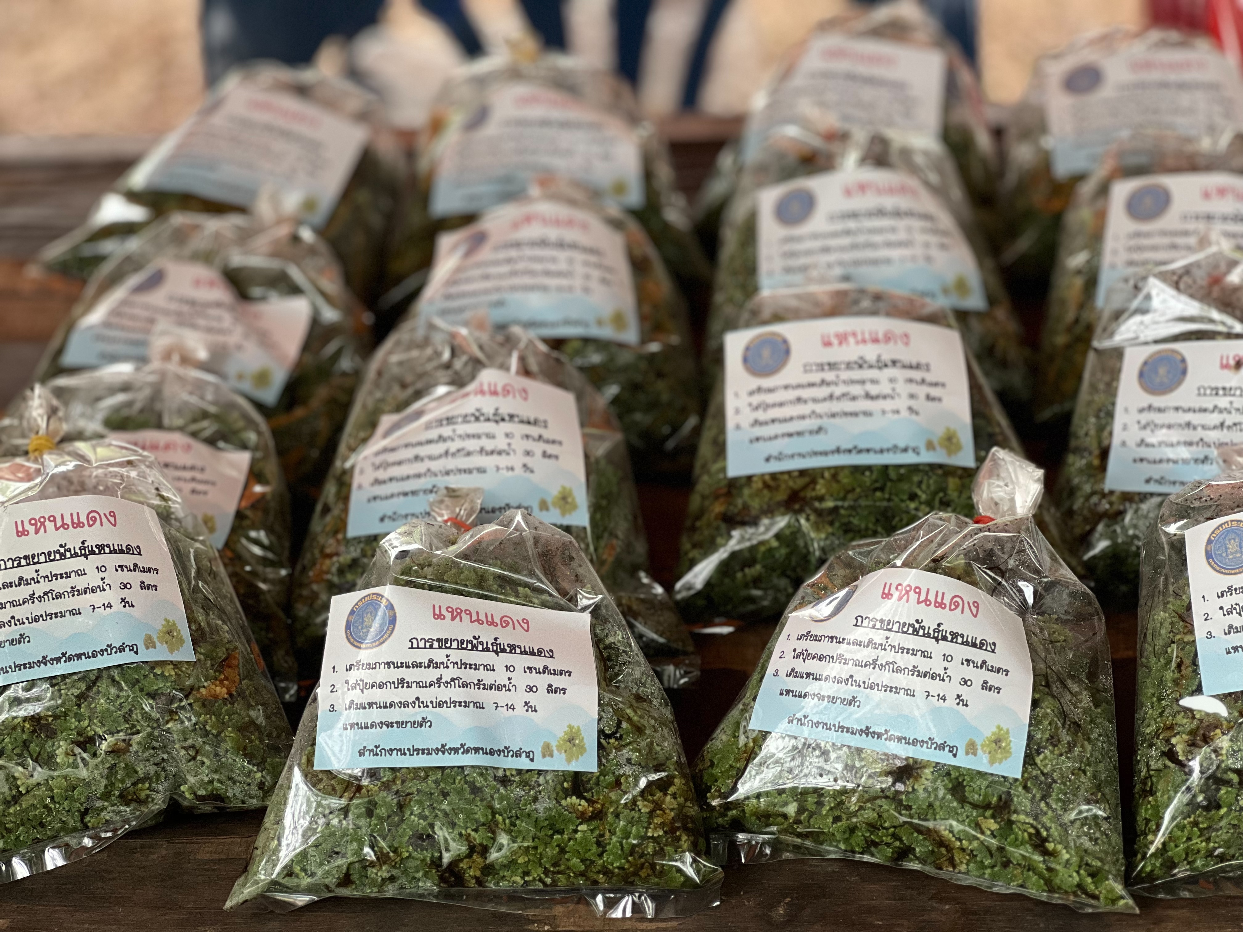 ร่วมออกหน่วยแพทย์เคลื่อนที่ พอ.สว. และโครงการหน่วยบำบัดทุกข์ บำรุงสุข สร้างรอยยิ้มให้ประชาชน