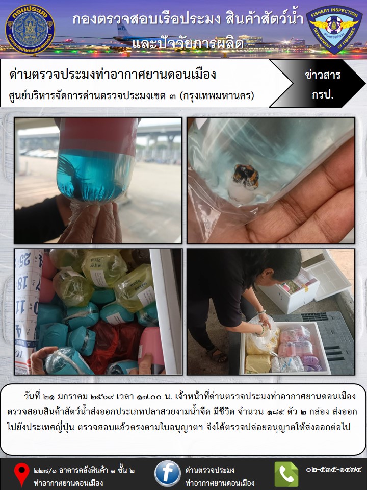 ตรวจสอบสินค้าสัตว์น้ำส่งออก