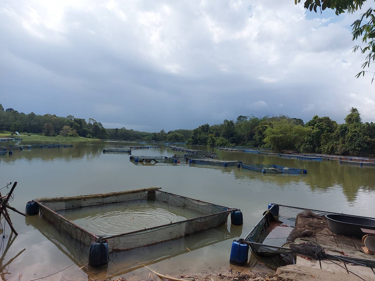 กลุ่มบริหารจัดการด้านการประมง พร้อมด้วย  ประมงอำเภอตะโหมด และประมงอำเภอบางแก้ว ร่วมดำเนินการติดตาม ตรวจสอบ และกำกับดูแลการเพาะเลี้ยงสัตว์น้ำควบคุมให้เป็นไปตาม พระราชกำหนดการประมง  พ.ศ.2558 และที่แก้ไขเพิ่มเติม 