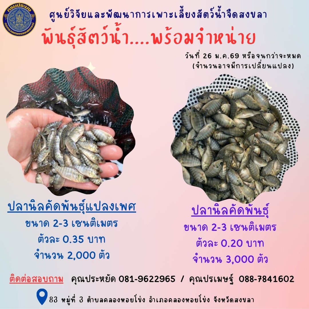 พันธุ์สัตว์น้ำพร้อมจำหน่าย
