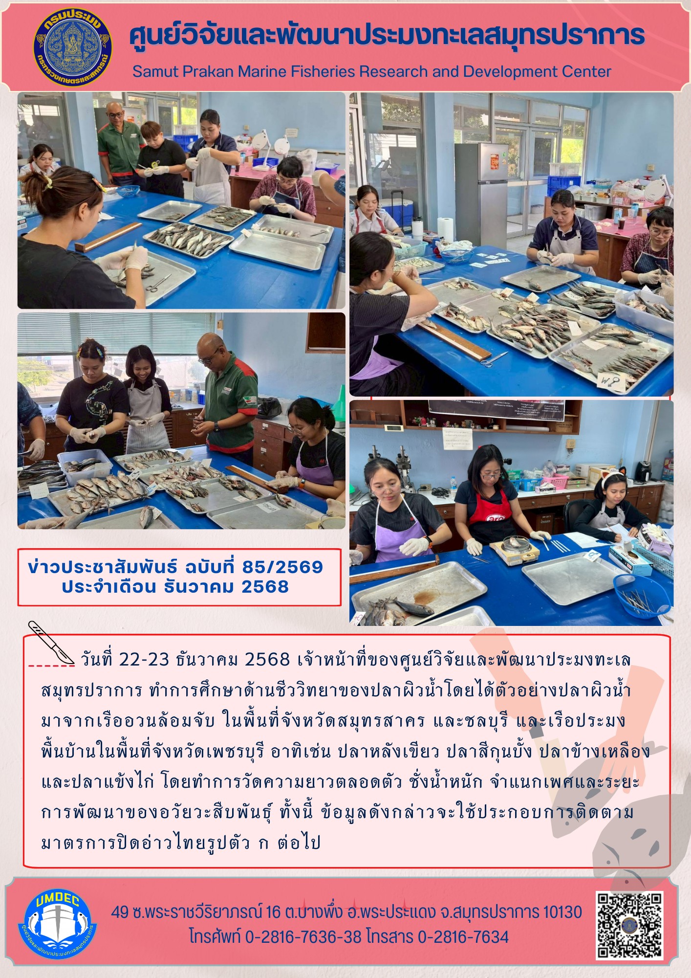 เจ้าหน้าที่ของศูนย์วิจัยและพัฒนาประมงทะเลสมุทรปราการ ทำการศึกษาด้านชีววิทยาของปลาผิวน้ำ..คลิก