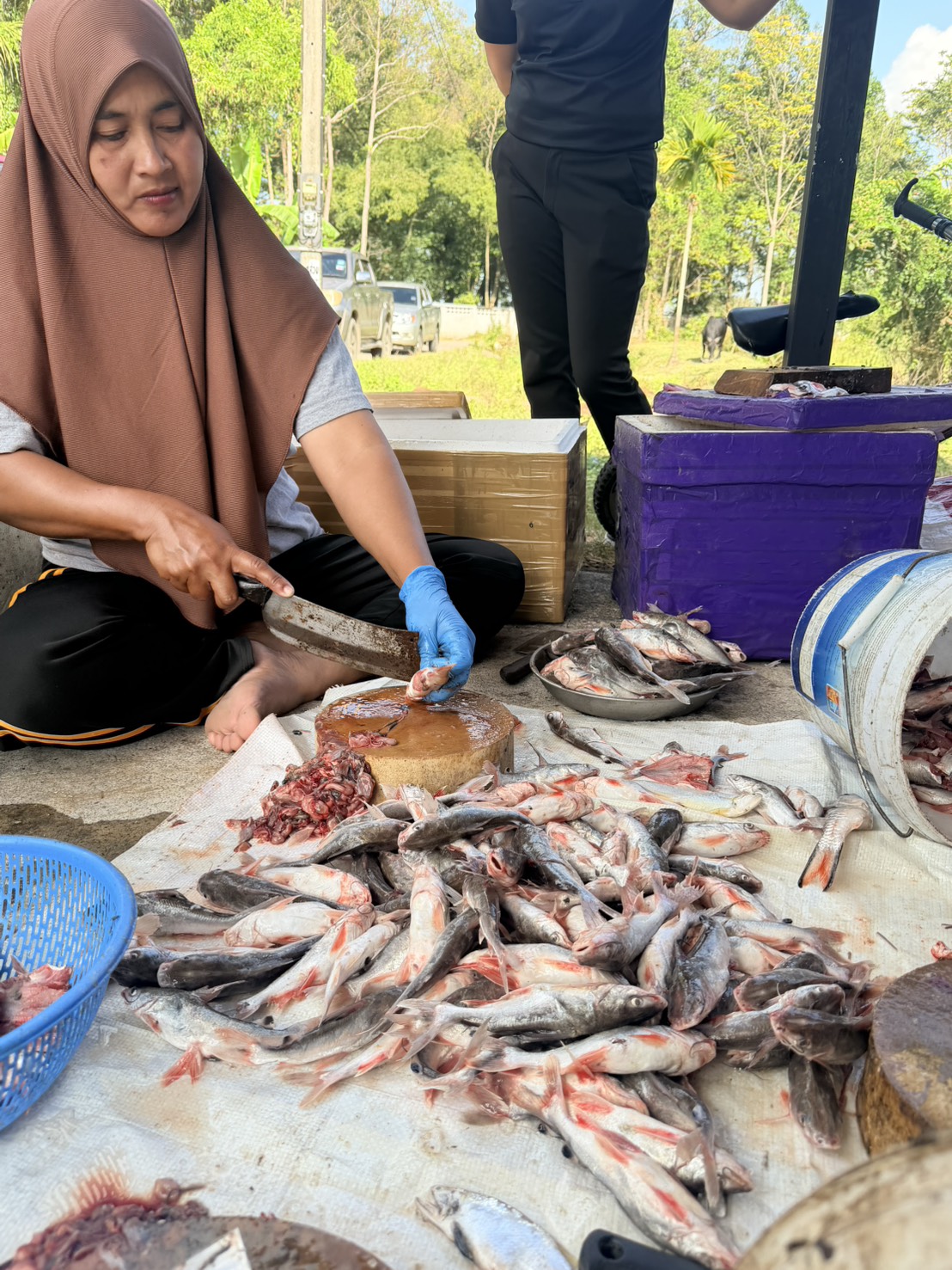 ประมงอำเภอบางแก้ว ลงพื้นที่ร่วมจัดเวทีชุมชน  ขับเคลื่อนการเกษตรระดับหมู่บ้านสู่การผลิตสินค้าเกษตรมูลค่าสูง  ประจำปี 2569 (สินค้า ปลาหัวโม่ง) เพื่อรับฟังความคิดเห็นเพื่อจัดทำแผนพัฒนาการเกษตรระดับหมู่บ้าน ภายใต้โครงการขับเคลื่อนการเกษตรระดับหมู่บ้านสู่การผลิตสินค้าเกษตรมูลค่าสูง สินค้า  