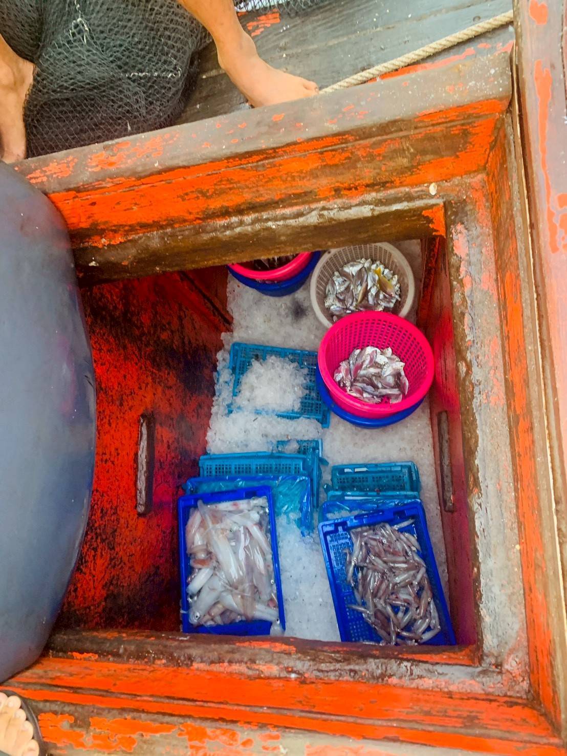 เข้าร่วมปฏิบัติงานกิจกรรมจัดการปัญหาแรงงานต่างด้าวและการค้ามนุษย์ด้านการประมง จังหวัดจันทบุรี..คลิก