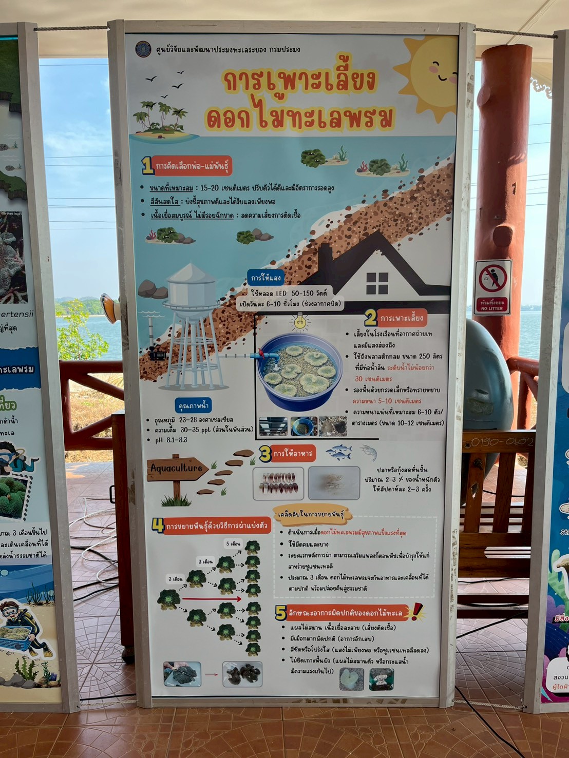เข้าร่วมกิจกรรมปล่อยพันธุ์สัตว์น้ำ ดอกไม้ทะเล ลงสู่ทะเลบริเวณอ่าวเพ..คลิก