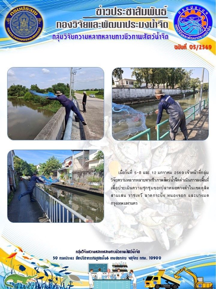 วันที่ 5-8 และ 12 มกราคม 2569 เจ้าหน้าที่กลุ่มวิจัยความหลากหลายทางชีวภาพสัตว์น้ำจืดดำเนินการลงพื้นที่เพื่อประเมินความชุกชุมของปลาหมอคางดำ