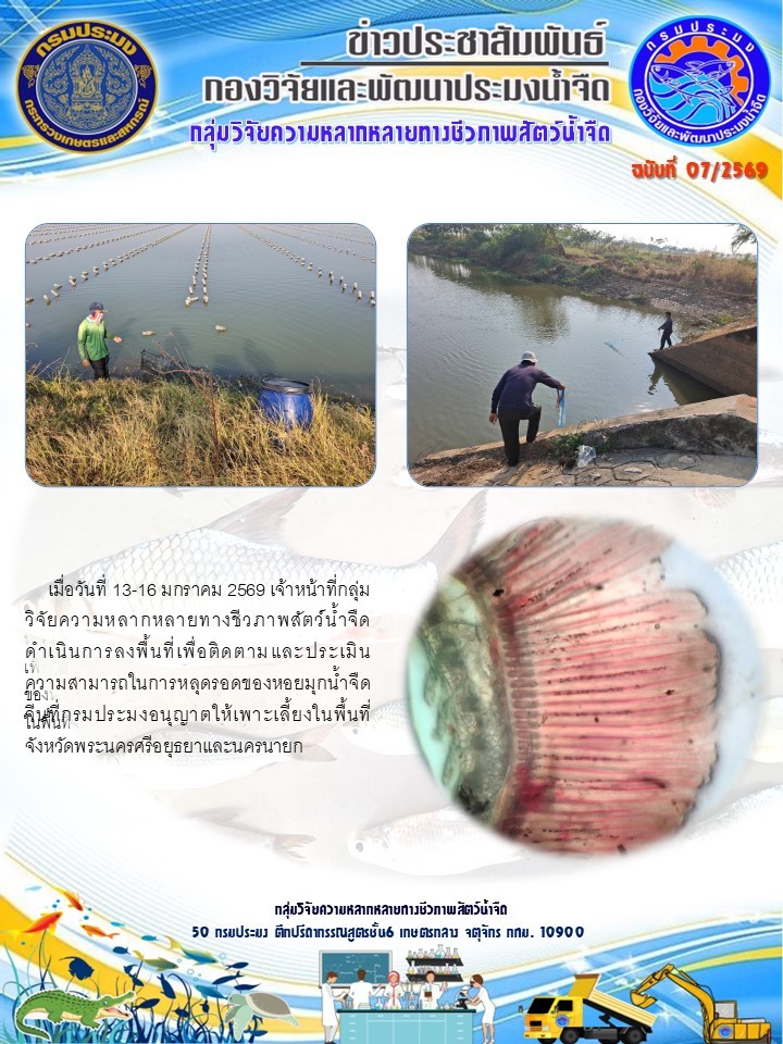 วันที่ 13-16 มกราคม 2569 เจ้าหน้าที่กลุ่มวิจัยความหลากหลายทางชีวภาพสัตว์น้ำจืดดำเนินการลงพื้นที่เพื่อติดตามและประเมินความสามารถในการหลุดรอดของหอยมุกน้ำจืดจีน