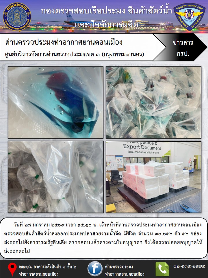 ตรวจสอบสินค้าสัตว์น้ำส่งออก