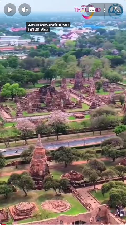 สถานแสดงพันธ์ุสัตว์น้ำวังปลา จังหวัดพระนครศรีอยุธยา