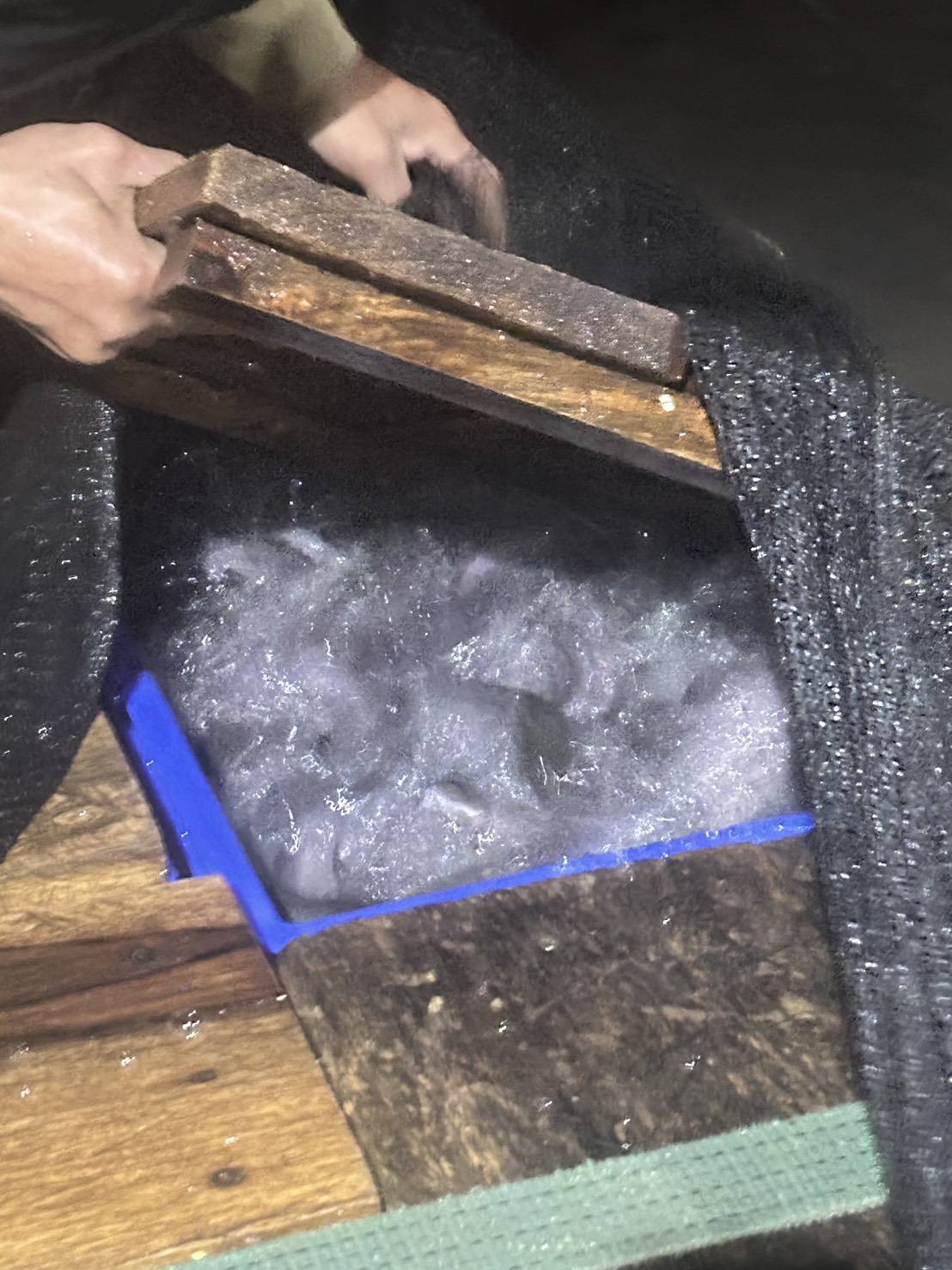 ข่าวกิจกรรม วันที่ 29 มกราคม 2569 เจ้าหน้าที่ด่านตรวจประมงนครพนม ตรวจสอบการส่งออก ปลาดุกแอฟริกา มีชีวิต ณ จุดผ่านแดนถาวรสะพานมิตรภาพไทย-ลาว แห่งที่ 3 นครพนม -คำม่วน จ.นครพนม..คลิก