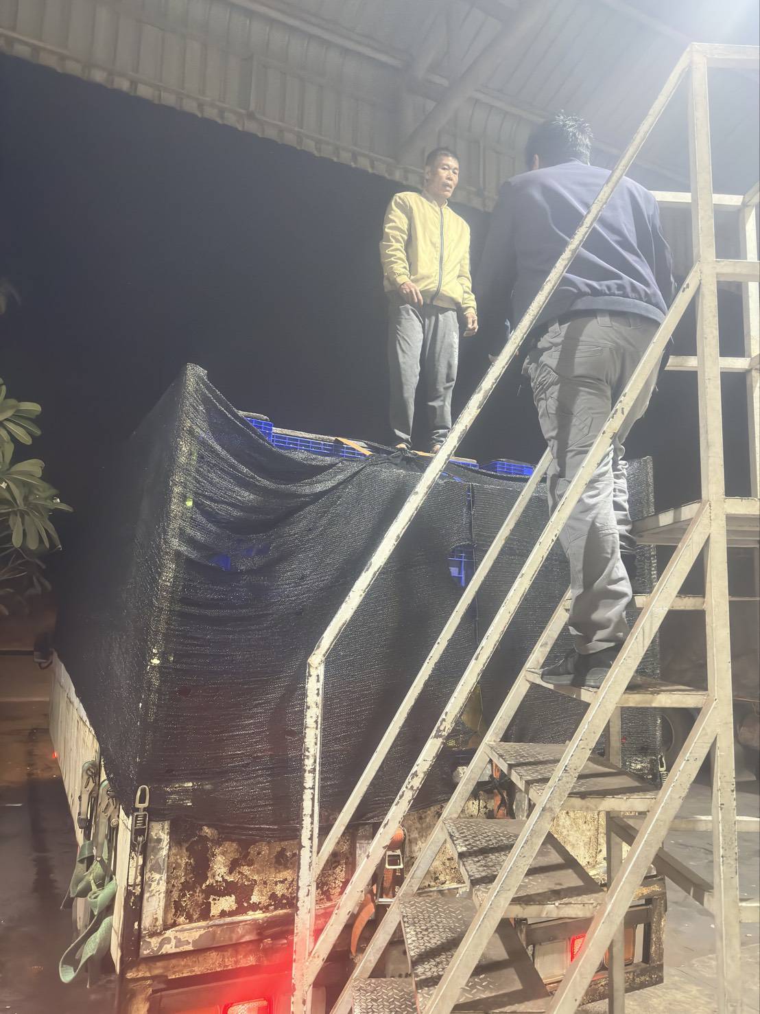 ข่าวกิจกรรม วันที่ 30 มกราคม 2569 เจ้าหน้าที่ด่านตรวจประมงนครพนม ตรวจสอบการส่งออก ปลาดุกแอฟริกา มีชีวิต ณ จุดผ่านแดนถาวรสะพานมิตรภาพไทย-ลาว แห่งที่ 3 นครพนม -คำม่วน จ.นครพนม