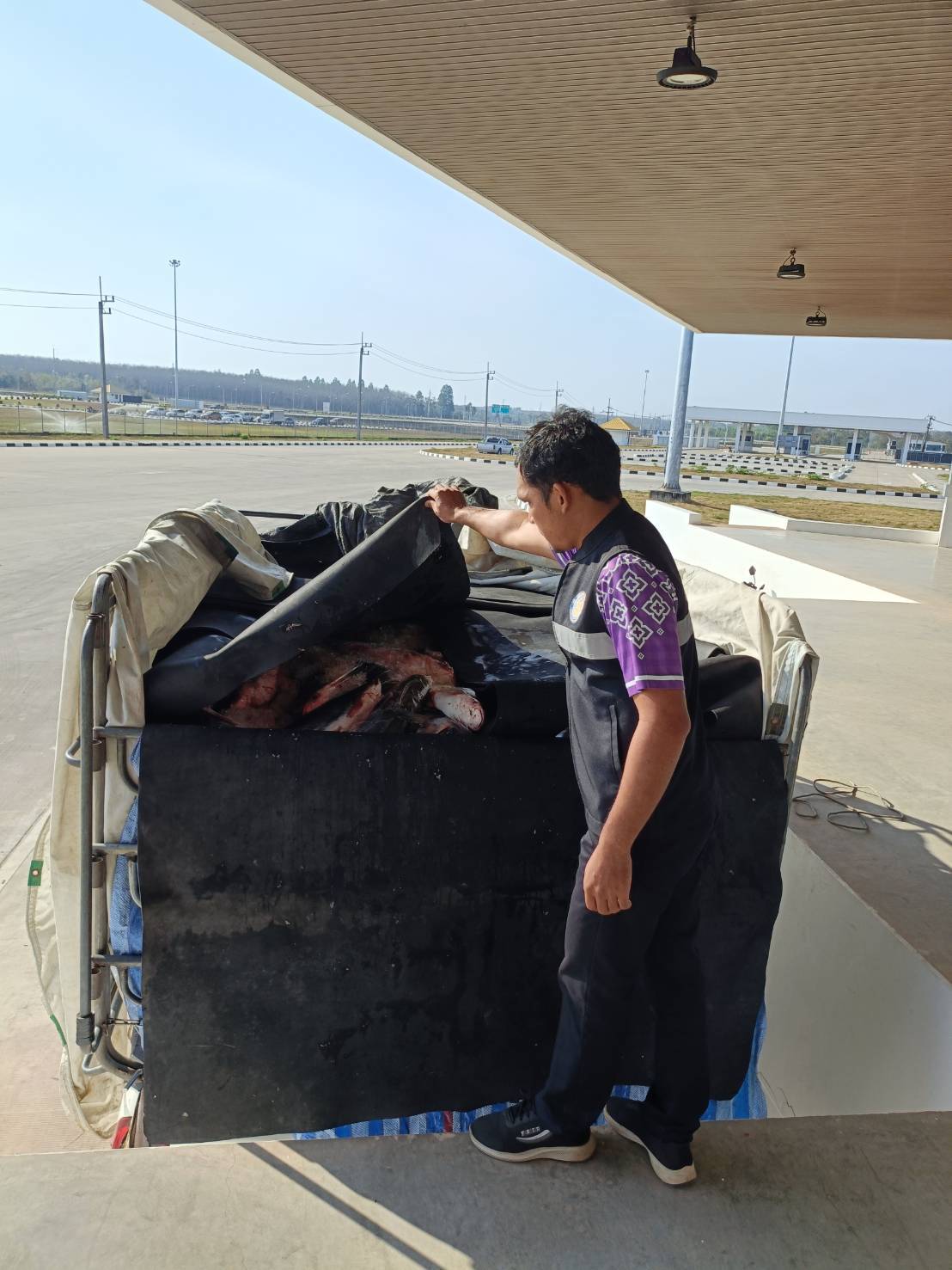 ข่าวกิจกรรม วันที่ 30 มกราคม 2569 เจ้าหน้าที่สำนักงานตรวจประมงบึงกาฬ ดำเนินการตรวจสอบการส่งออกสินค้าประมง ชนิด ปลาลิ่น ทั้งตัว แช่เย็น และ  ปลาสวาย ทั้งตัว แช่เย็น ณ จุดผ่านแดนถาวรสะพานมิตรภาพไทย-ลาว แห่งที่ 5 บึงกาฬ - บอลิคำไซ จ.บึงกาฬ