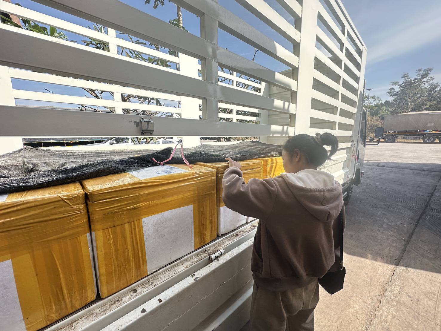 ข่าวกิจกรรม วันที่ 30 มกราคม 2569 เจ้าหน้าที่ด่านตรวจประมงนครพนม ตรวจสอบการส่งออกสัตว์น้ำ ชนิด หอยตลับ มีชีวิต ณ อาคารเก็บของกลางและตรวจสอบสินค้าด่านศุลกากรนครพนม จังหวัดนครพนม..คลิก