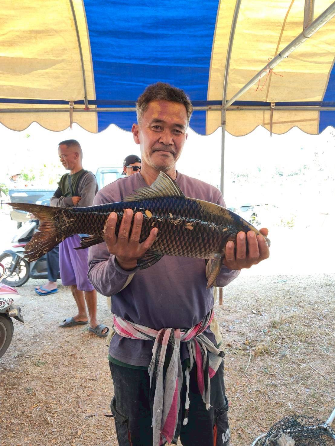 ข่าวประชาสัมพันธ์ประจำวันที่ 31 มกราคม 2569 ศูนย์วิจัยและพัฒนาการเพาะเลี้ยงสัตว์น้ำจืดศรีสะเกษ ฉบับที่ 25