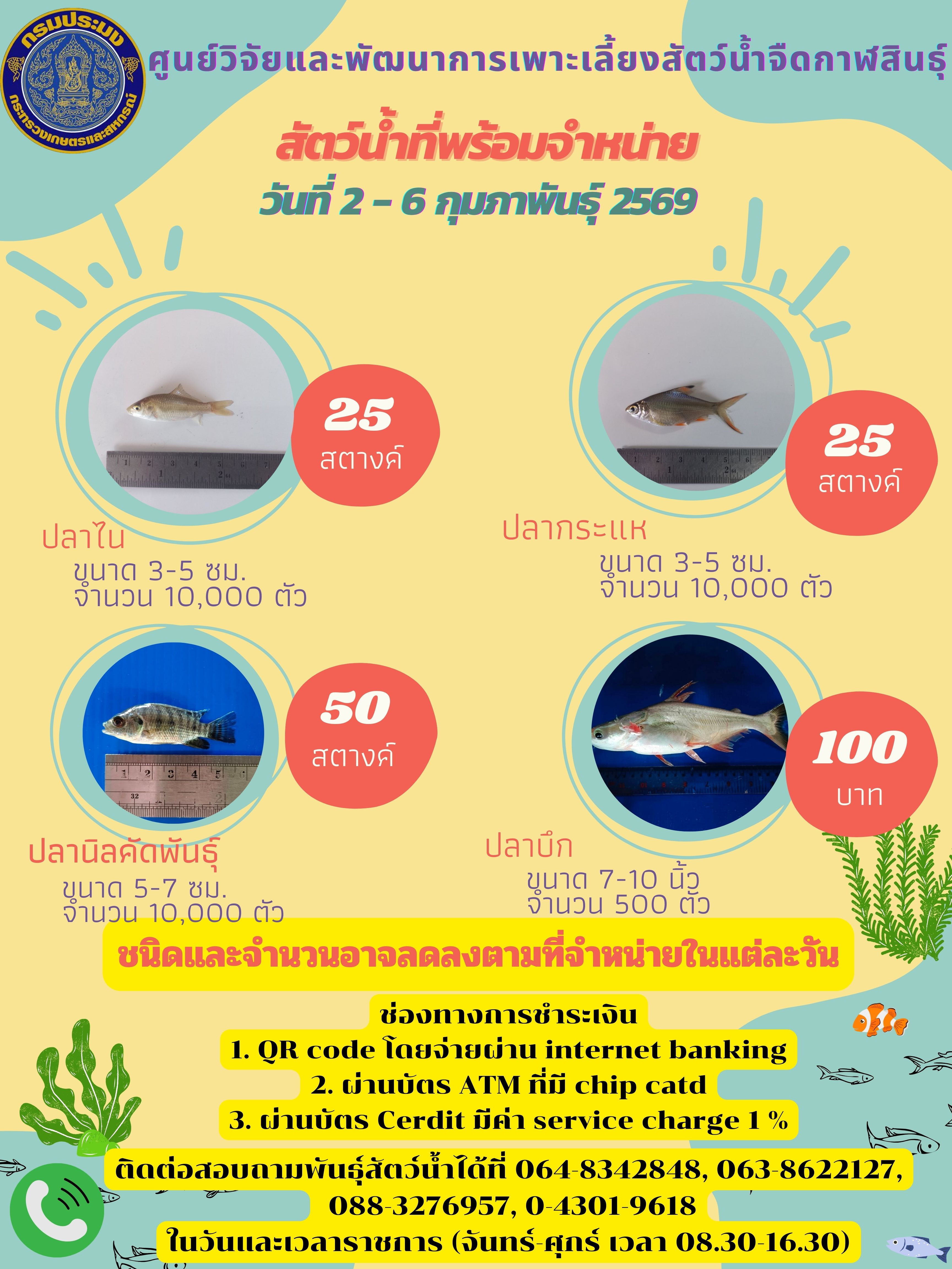 สัตว์น้ำที่พร้อมจำหน่าย