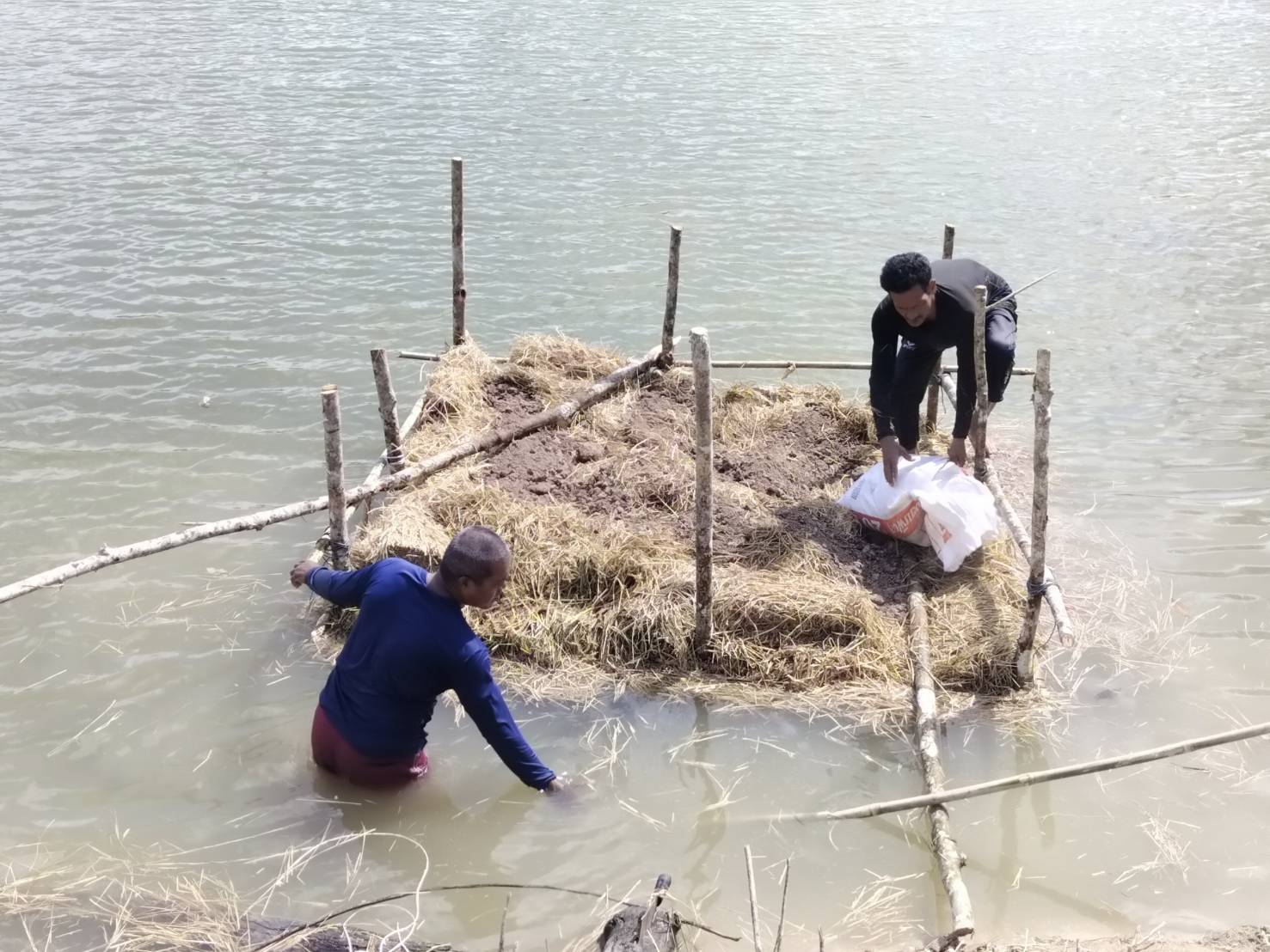 ดำเนินการสร้างอาหารลดต้นทุน (แซนวิชปลา)