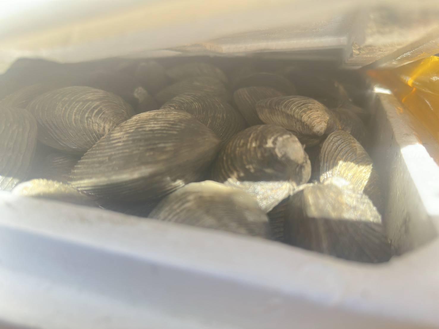 ข่าวกิจกรรม วันที่ 2 กุมภาพันธ์ 2569 เจ้าหน้าที่ด่านตรวจประมงนครพนม ตรวจสอบการส่งออกสัตว์น้ำ ชนิด หอยตลับ มีชีวิต ณ อาคารเก็บของกลางและตรวจสอบสินค้าด่านศุลกากรนครพนม จังหวัดนครพนม..คลิก