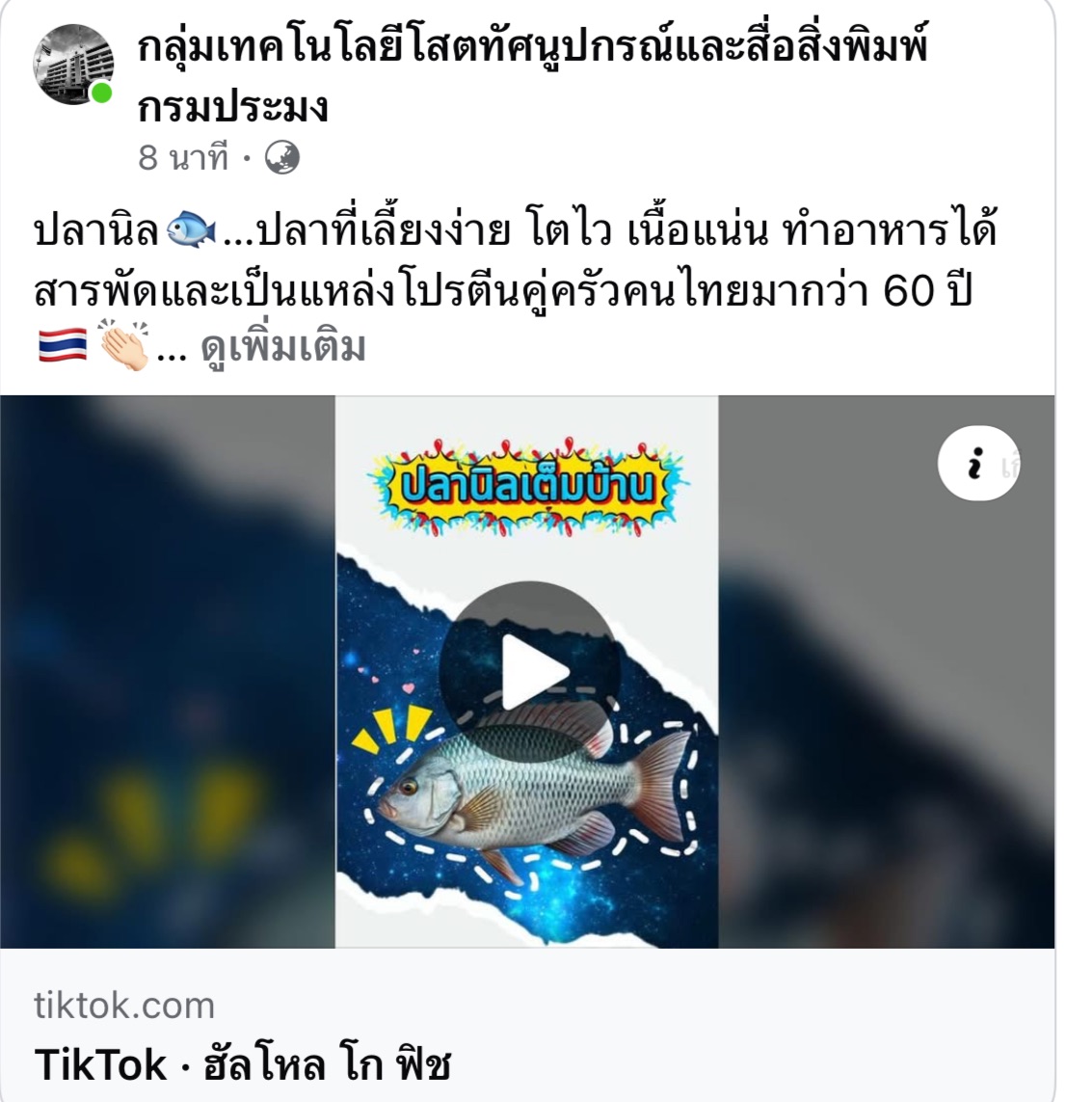 ปลานิล…ปลาที่เลี้ยงง่าย โตไว เนื้อแน่น ทำอาหารได้สารพัดและเป็นแหล่งโปรตีนคู่ครัวคนไทยมากว่า 60 ปี