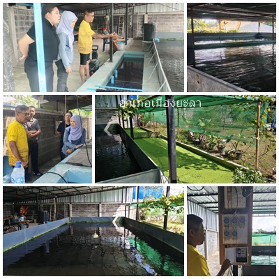 ผลการปฏิบัติงานประจำวันจันทร์ที่ 2 กุมภาพันธ์ 2569