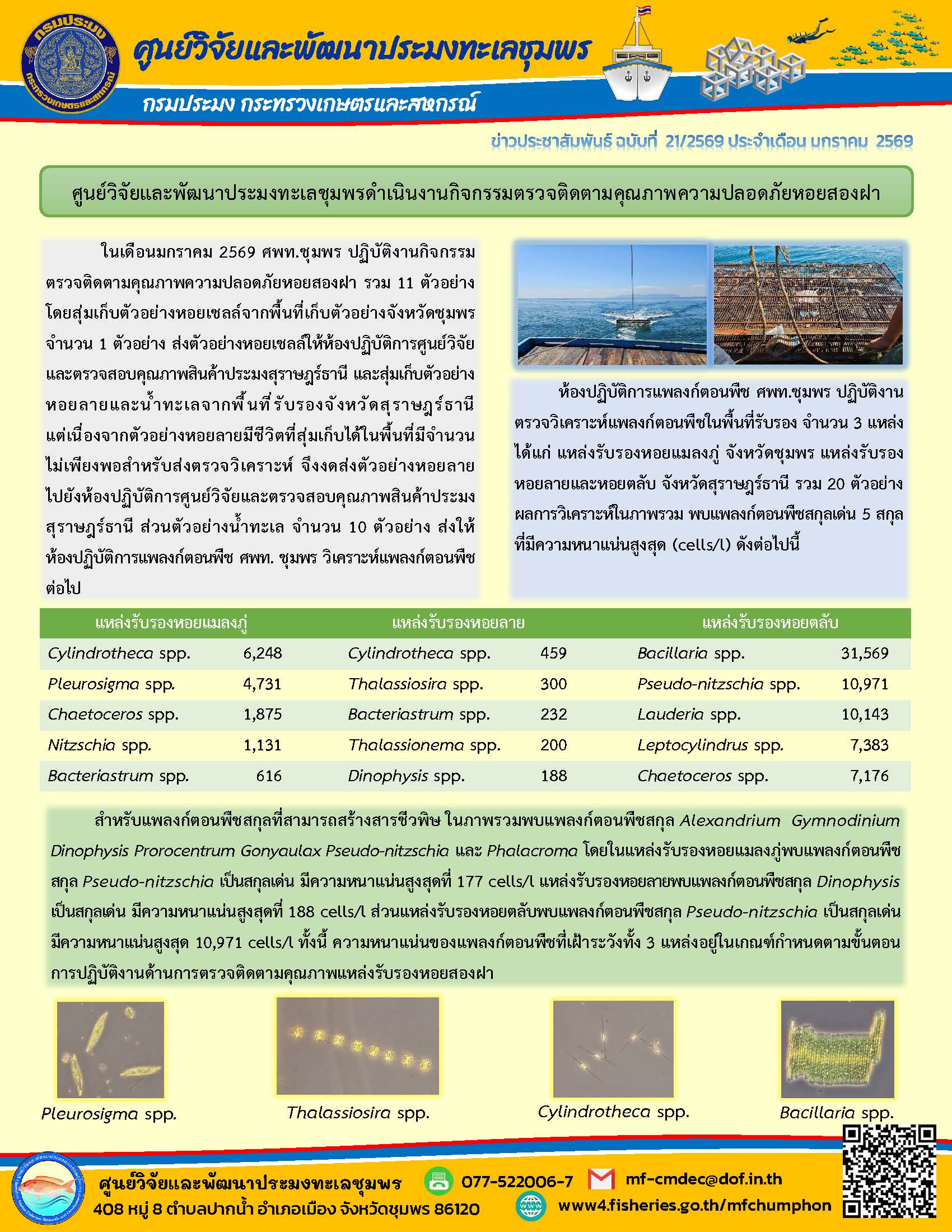 ในเดือนมกราคม 2569 ศพท.ชุมพร ปฏิบัติงานกิจกรรมตรวจติดตามคุณภาพความปลอดภัยหอยสองฝา รวม 11 ตัวอย่างโดยสุ่มเก็บตัวอย่างหอยเชลล์จากพื้นที่เก็บตัวอย่างจังหวัดชุมพร จำนวน 1 ตัวอย่าง ส่งตัวอย่างหอยเซลล์ให้ห้องปฏิบัติการศูนย์วิจัยและตรวจสอบคุณภาพสินค้าประมงสุราษฎร์ธานี ฯลฯ..คลิก