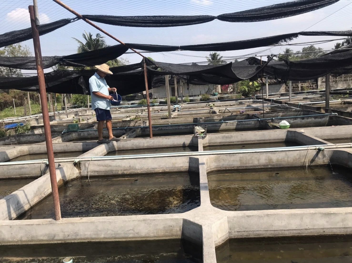 สำรวจผลผลิตการเลี้ยงสัตว์น้ำสวยงาม พร้อมมอบบัตร ทบ.1..คลิก