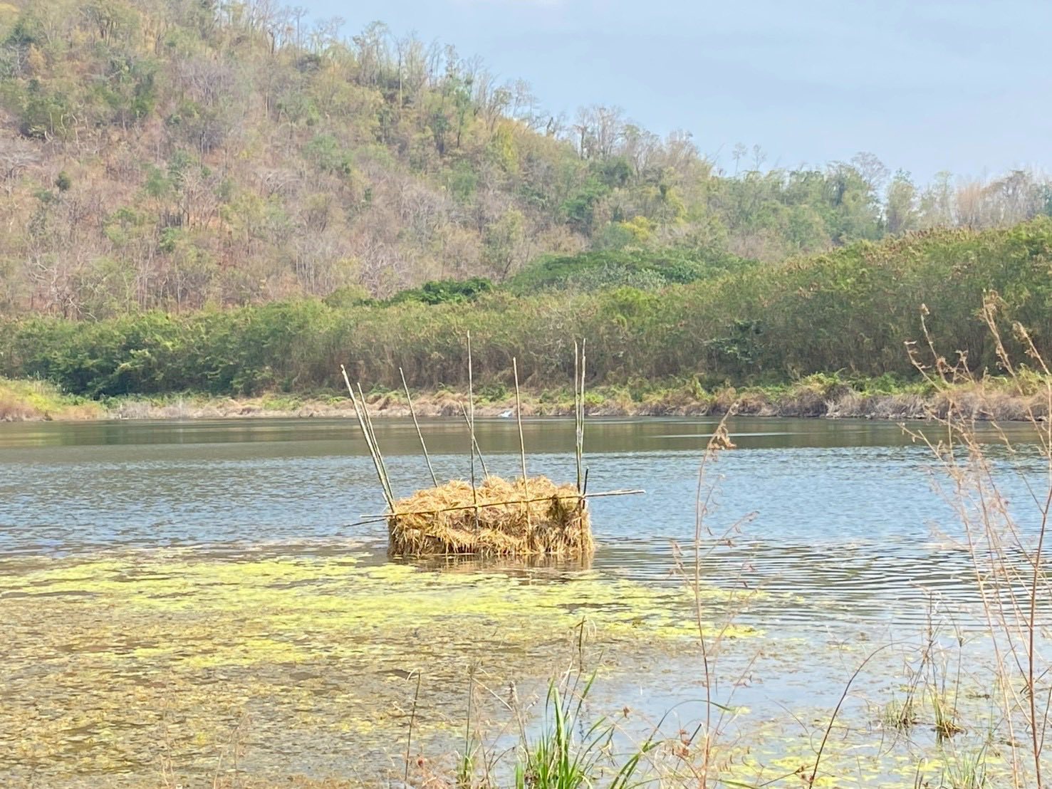 ลงพื้นที่ดำเนินการร่วมกับคณะกรรมการแหล่งน้ำในการจัดทำอาหารธรรมชาติ..คลิก