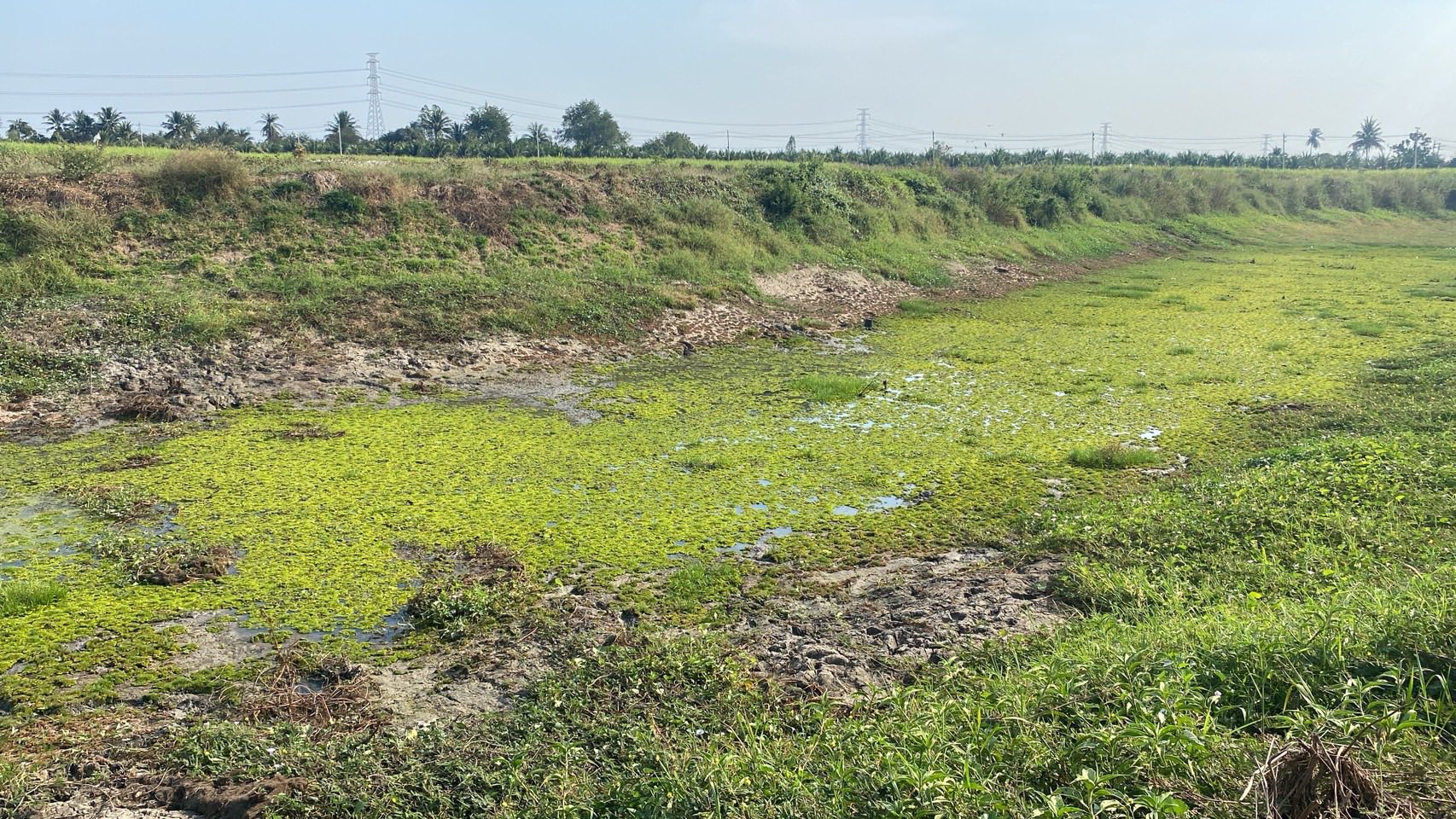 ลงพื้นที่ตรวจสอบพื้นที่กฎหมายป้องกันและปราบปรามการทำประมงผิดกฎหมาย..คลิก