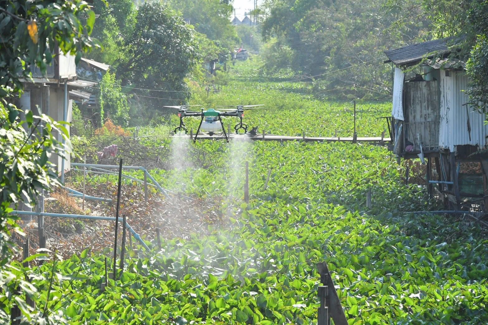 เข้าร่วมในกิจกรรม Kick off กำจัดวัชพืชและผักตบชวา