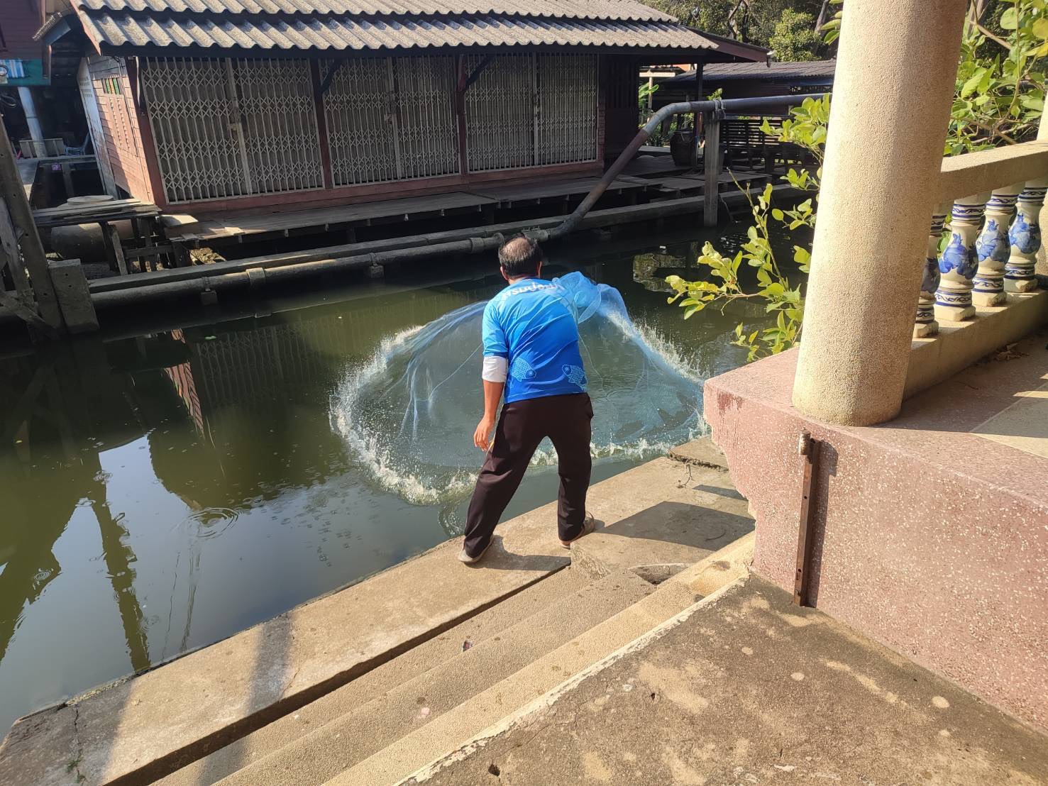 (อ.บางกรวย) การสำรวจปลาหมอคางดำ ตามแผนการแก้ไขปัญหาการแพร่ระบาดของปลาหมอคางดำจังหวัดนนทบุรี