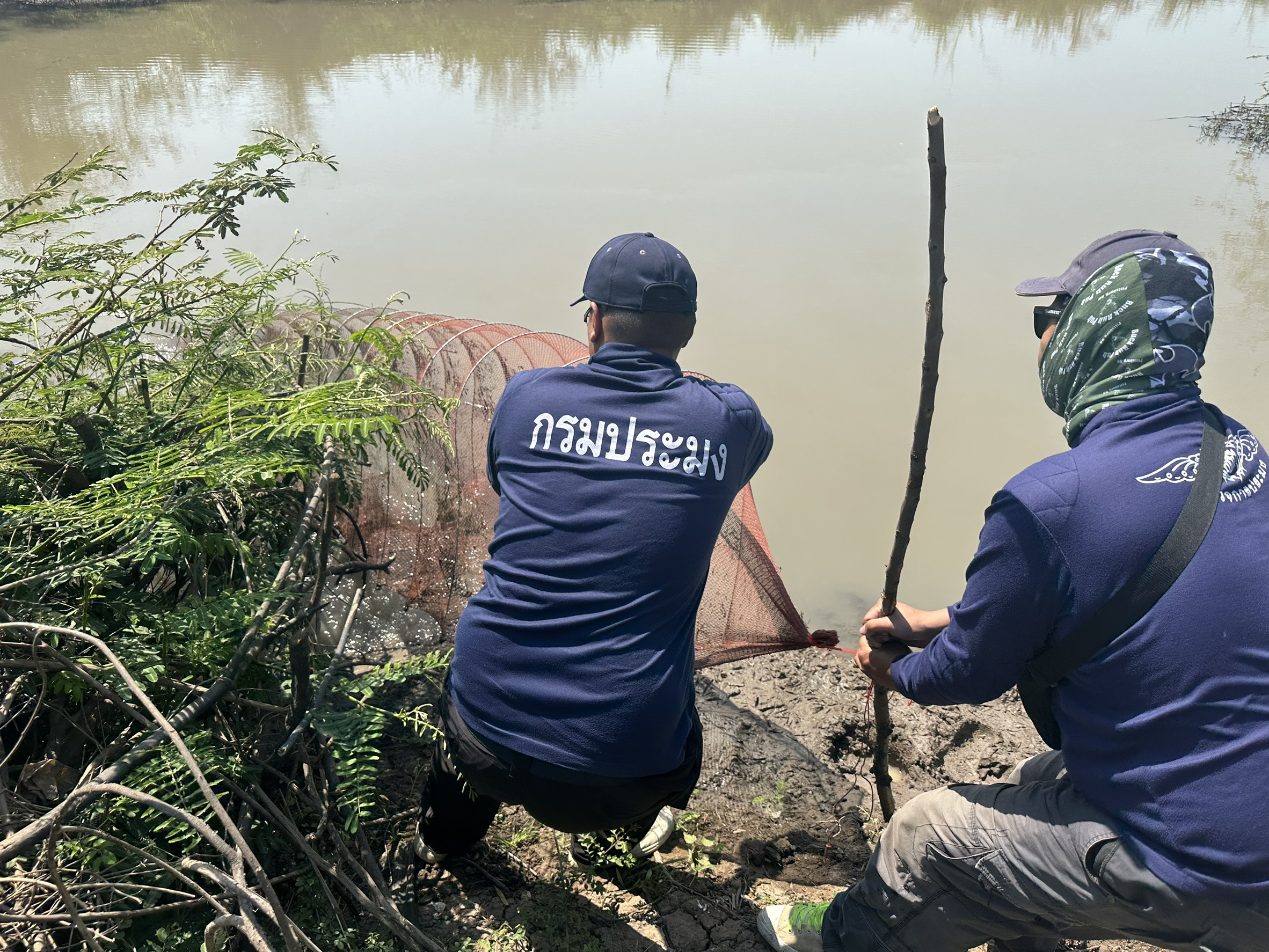 รูป ประกอบบทความ5