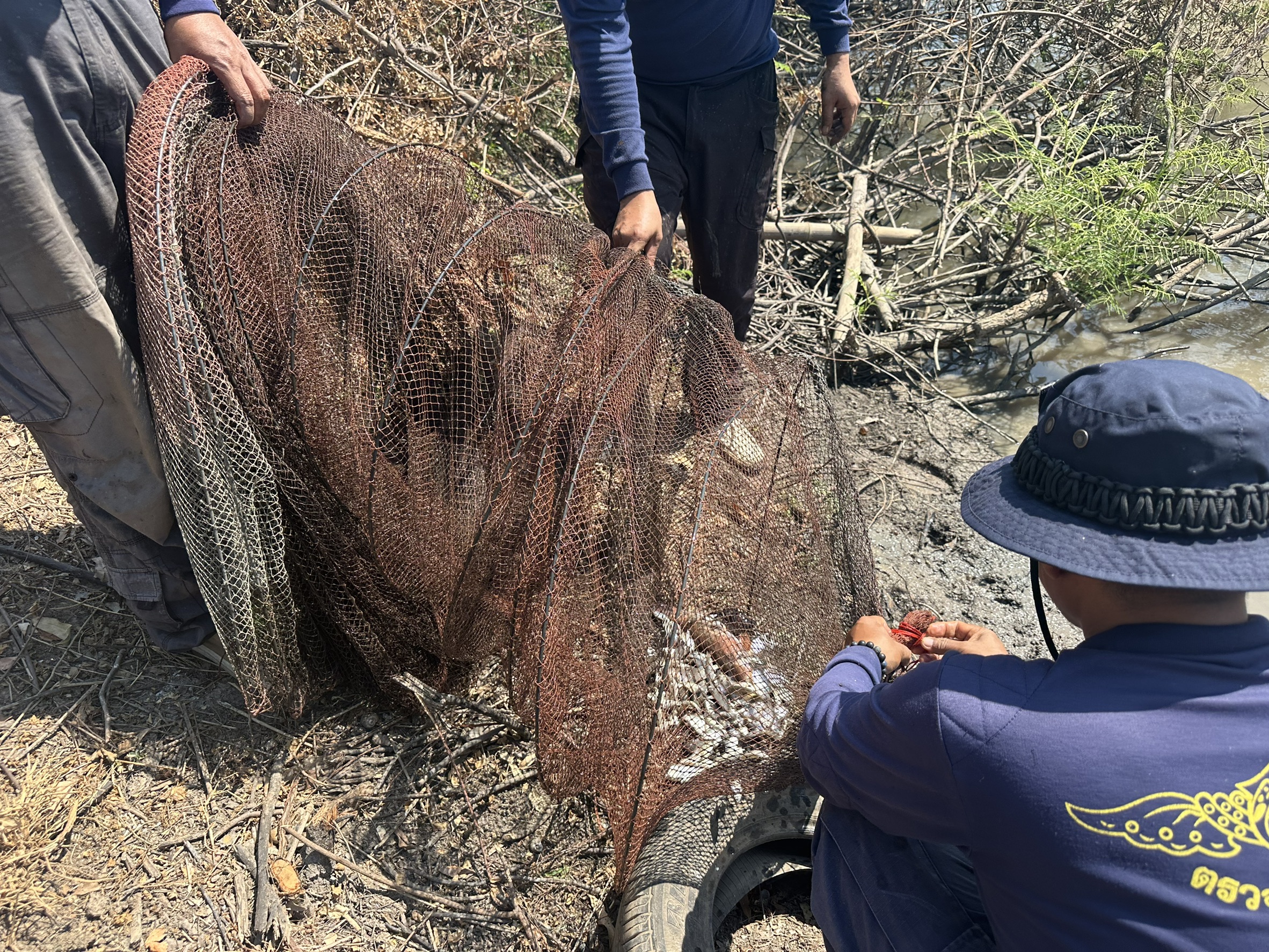 รูป ประกอบบทความ1