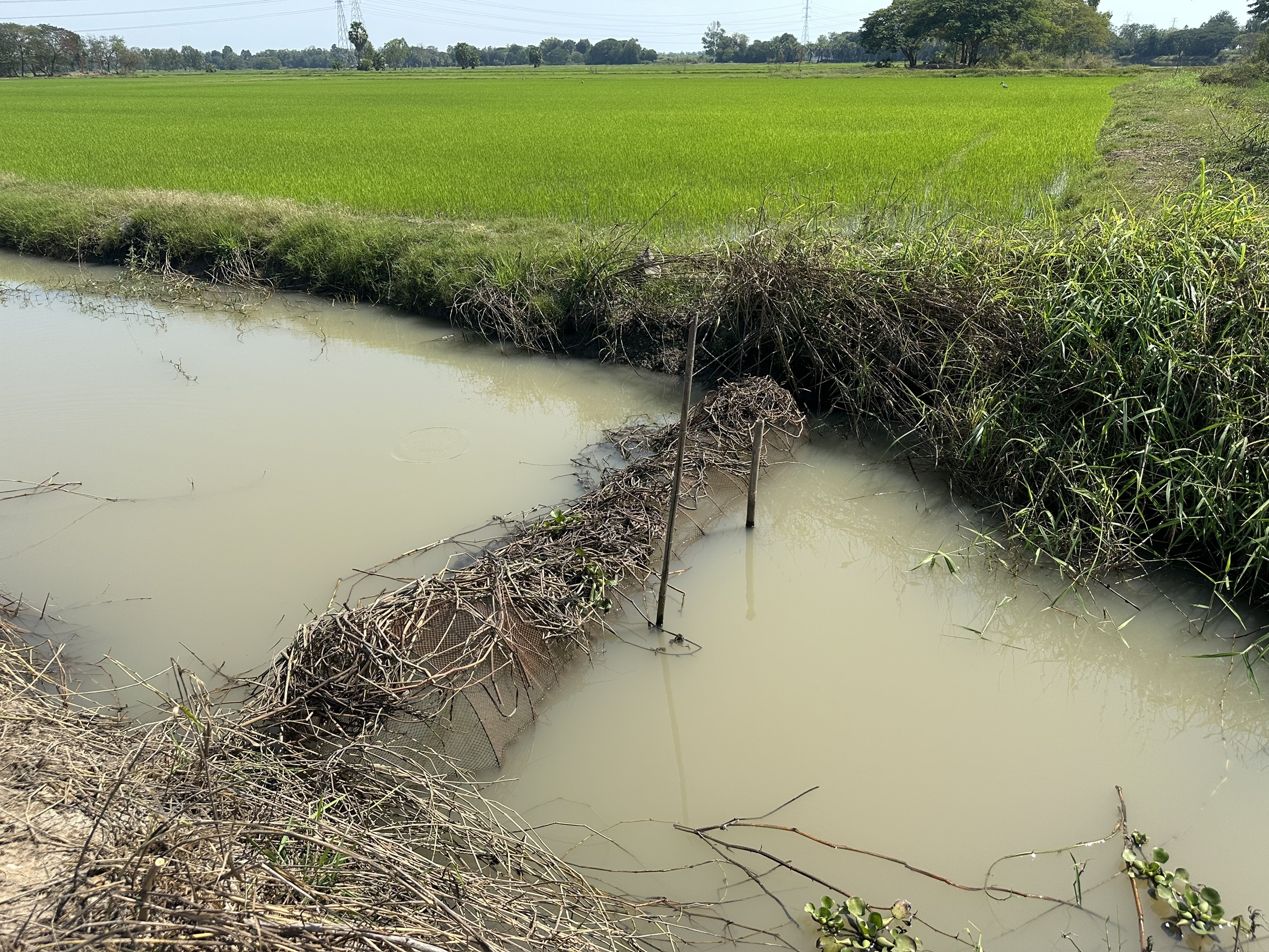 รูป ประกอบบทความ4