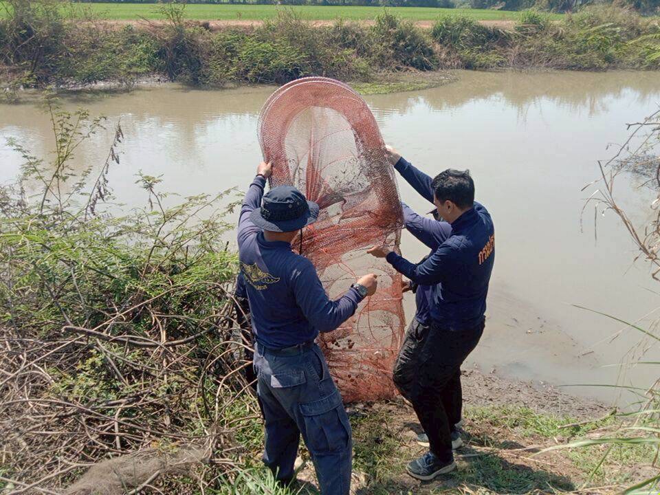 รูป ประกอบบทความ8