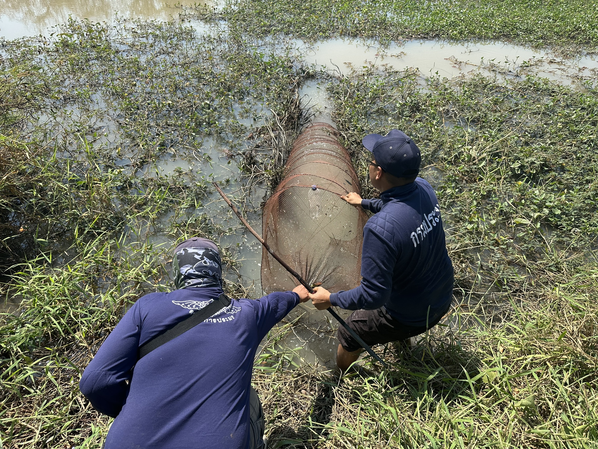 กิจกรรมควบคุม : หน่วยป้องกันแล