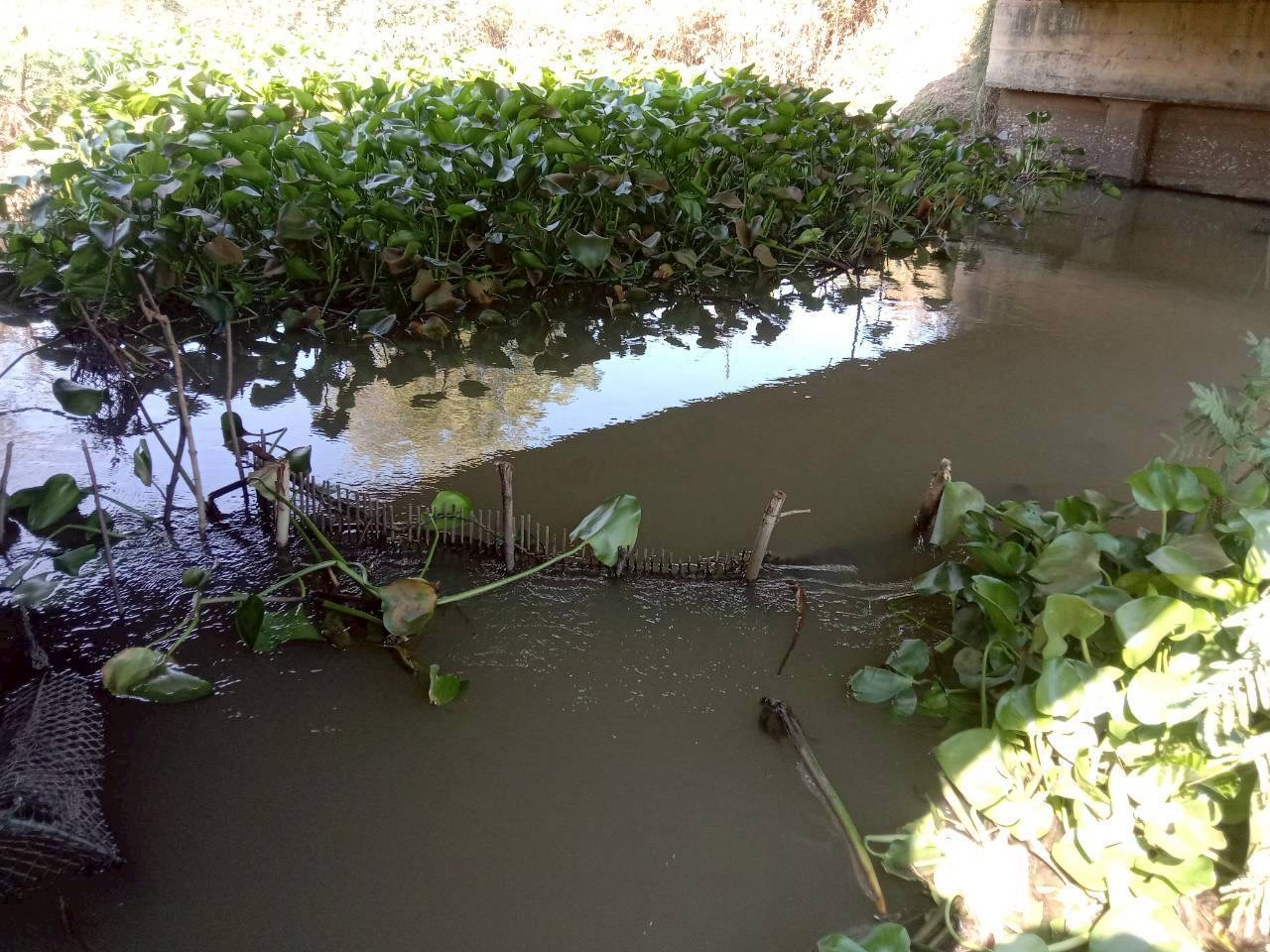 รูป ประกอบบทความ2