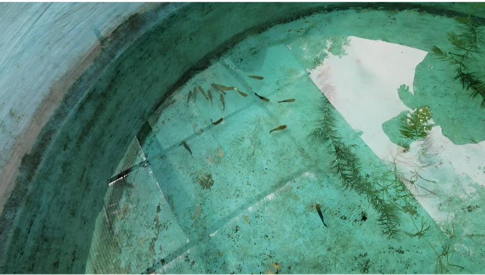 รูป ประกอบบทความ28