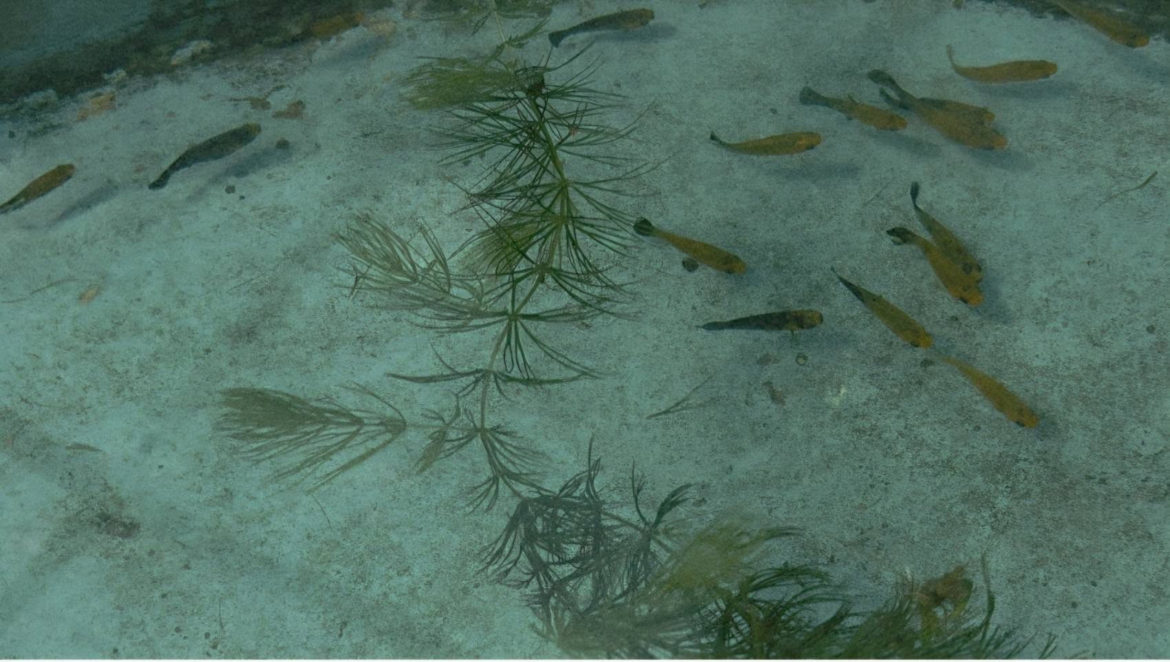 รูป ประกอบบทความ22