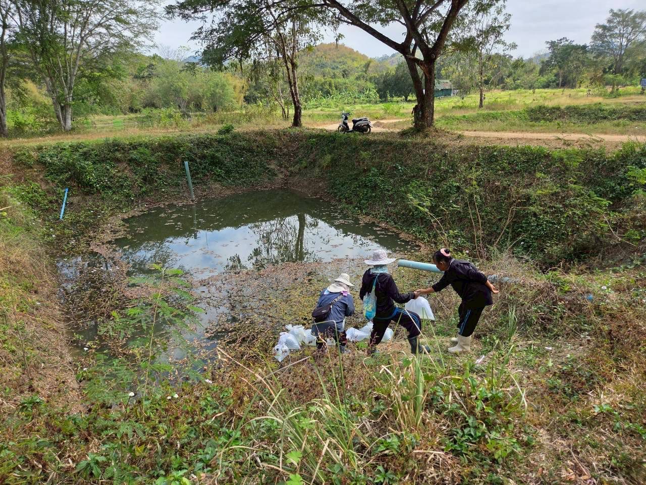 รูป ประกอบบทความ6