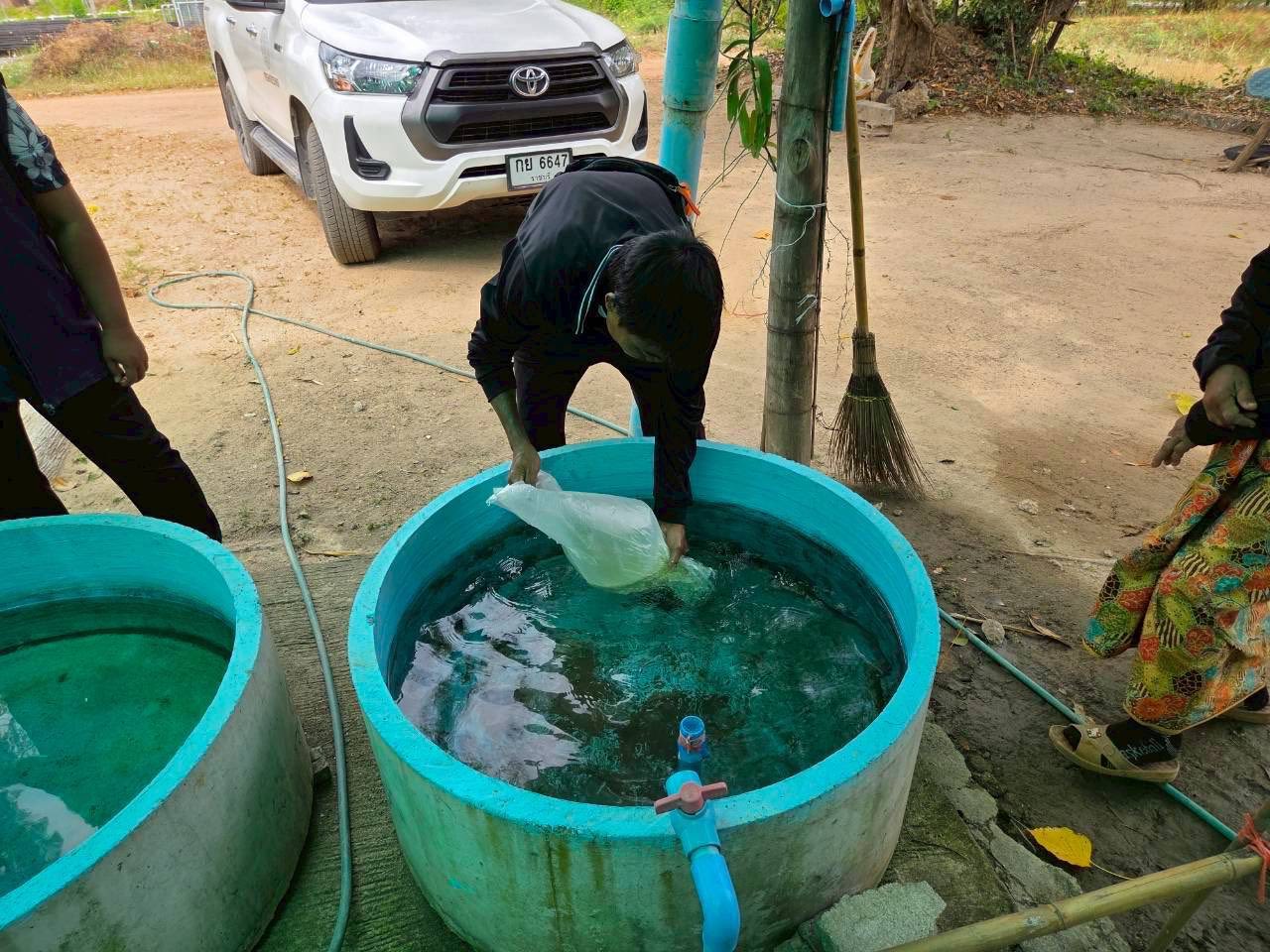 รูป ประกอบบทความ16