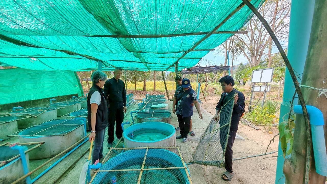 รูป ประกอบบทความ15