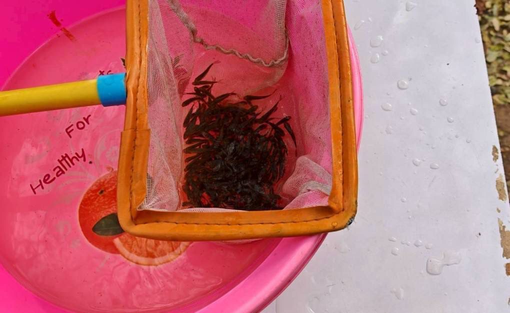 รูป ประกอบบทความ20