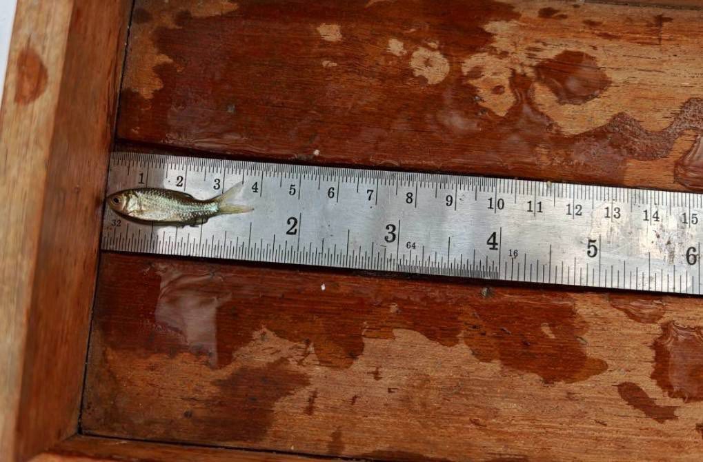 รูป ประกอบบทความ13