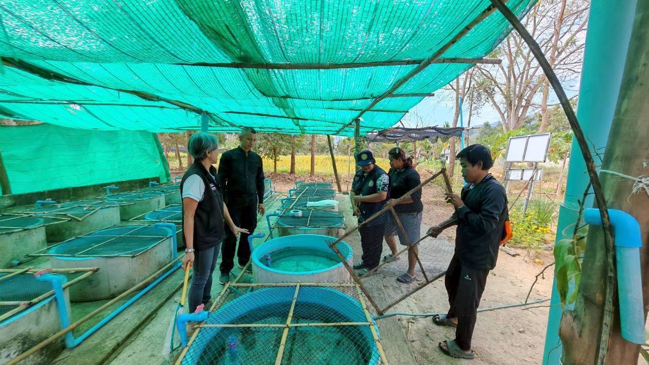 รูป ประกอบบทความ9