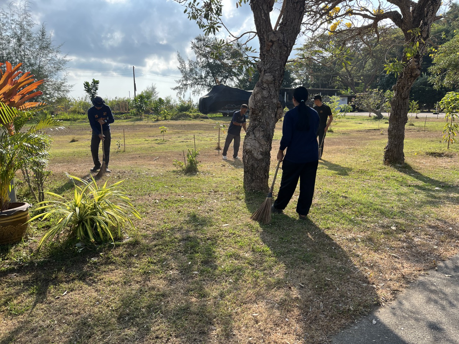 รูป ประกอบบทความ11