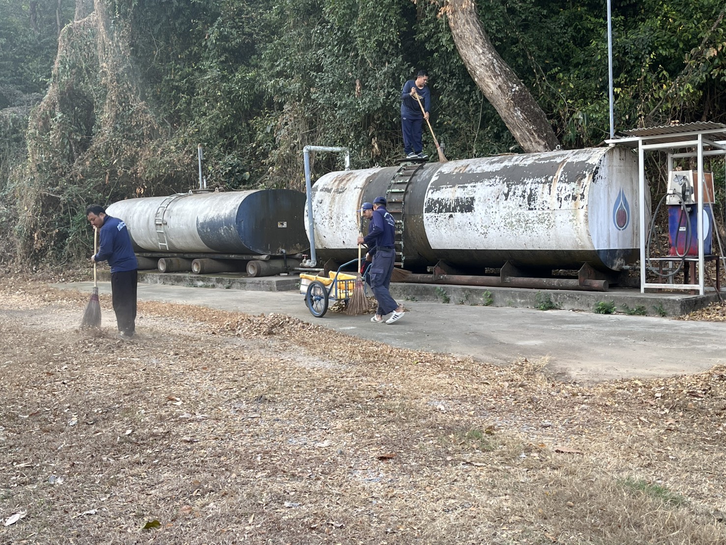 ดำเนินกิจกรรมปรับปรุงภูมิทัศน์